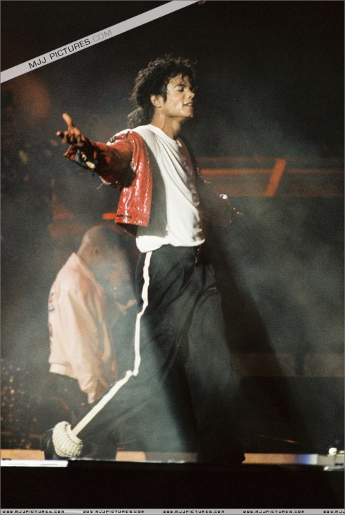 BAD Tour (294)