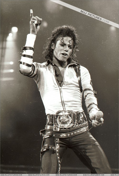 BAD Tour (327)