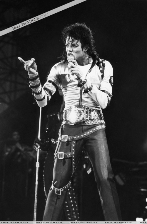 BAD Tour (337)