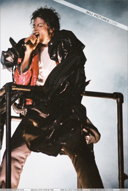 BAD Tour (339)