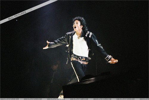 BAD Tour (340)