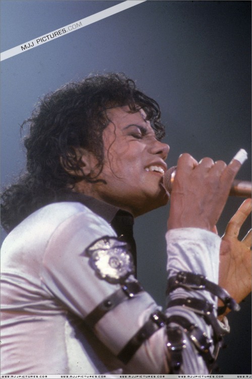 BAD Tour (419)