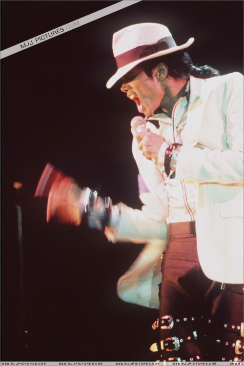 BAD Tour (42)