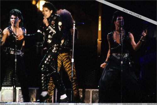 BAD Tour (424)