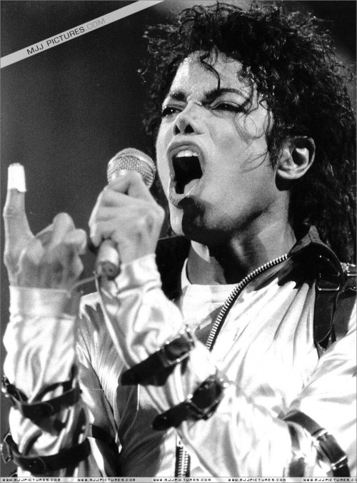 BAD Tour (454)