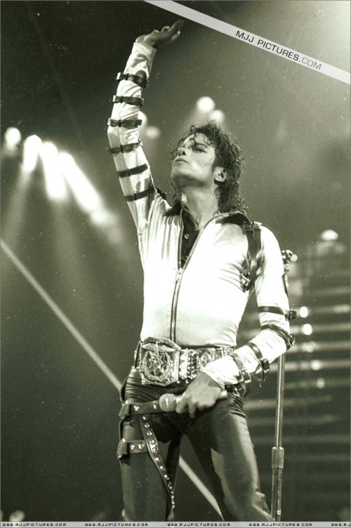 BAD Tour (456)