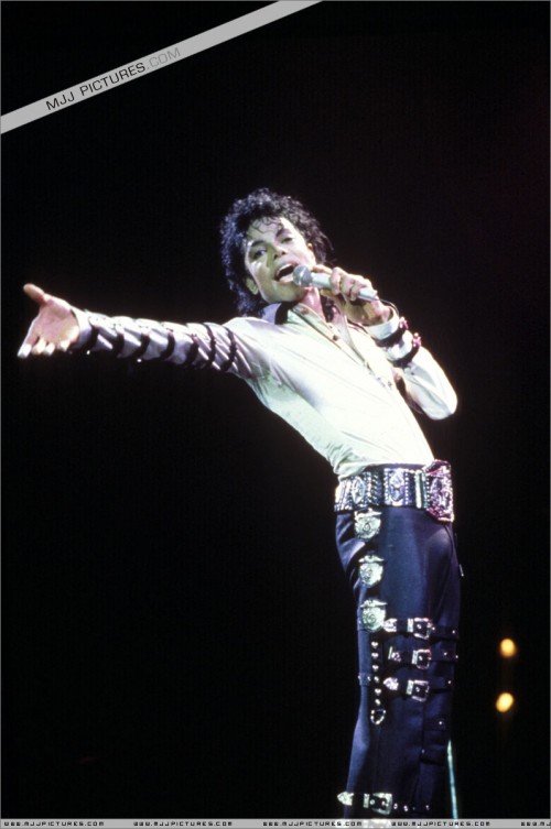 BAD Tour (516)