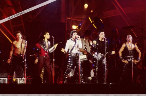 BAD Tour (525)