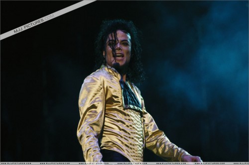 Dangerous World Tour (135)