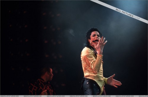 Dangerous World Tour (395)