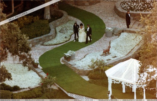 ElizabethTaylorWeddingatNeverland19911.jpg