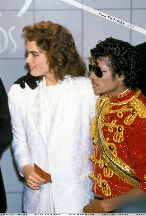 The11thAmericanMusicAwards1984773639.jpg