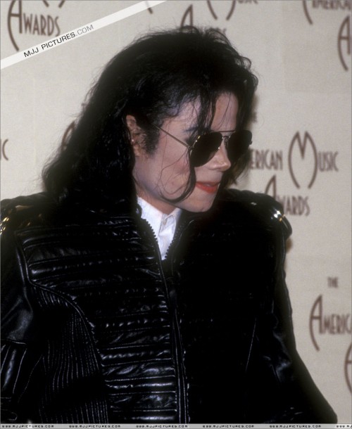 The20thAmericanMusicAwards199332.jpg