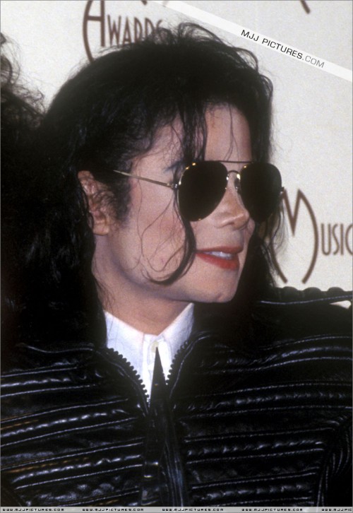 The20thAmericanMusicAwards199335.jpg