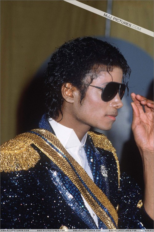 The26thGrammyAwards198425.jpg