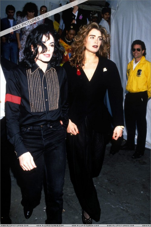 The35thGrammyAwards199310.jpg