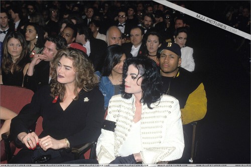 The35thGrammyAwards199329.jpg