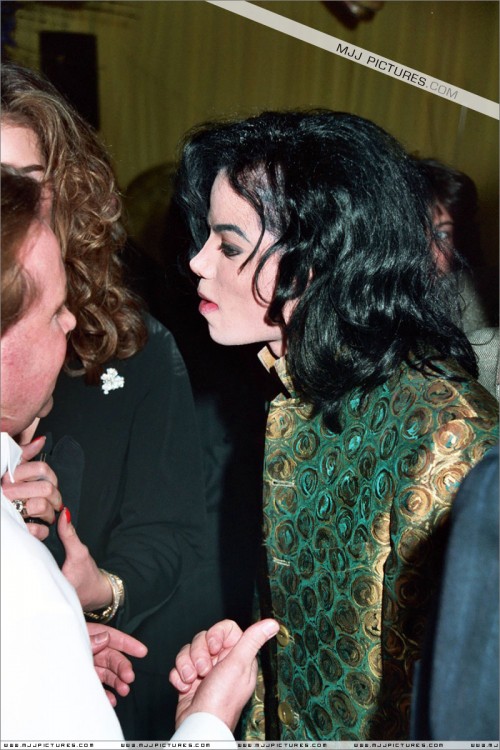 The35thGrammyAwards199345.jpg