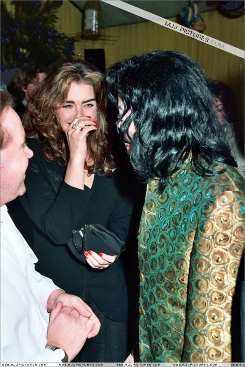 The35thGrammyAwards199349.jpg