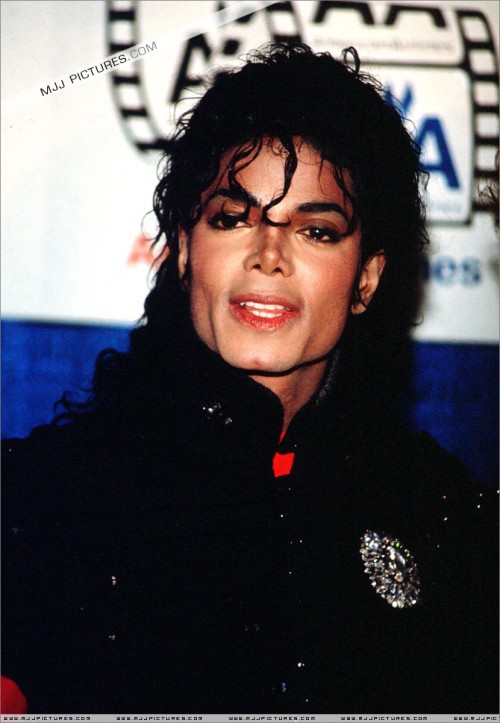 The7thAmericanCinemaAwards199014.jpg