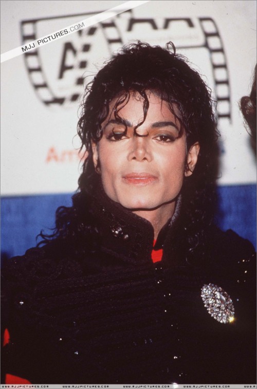 The 7th American Cinema Awards 1990 (9)