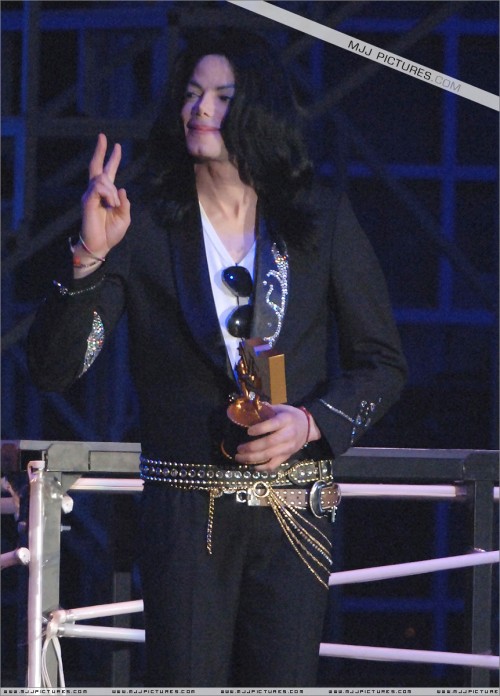 TheMTVVideoMusicAwardsJapan200614.jpg